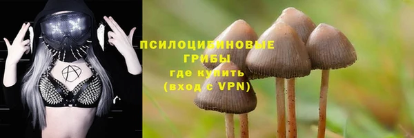 гашик Алзамай