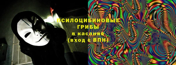 эйфоретик Алексин