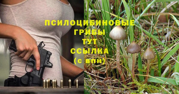 ALPHA PVP Арсеньев