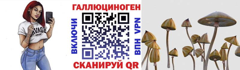 Псилоцибиновые грибы Cubensis  наркотики  Починок 